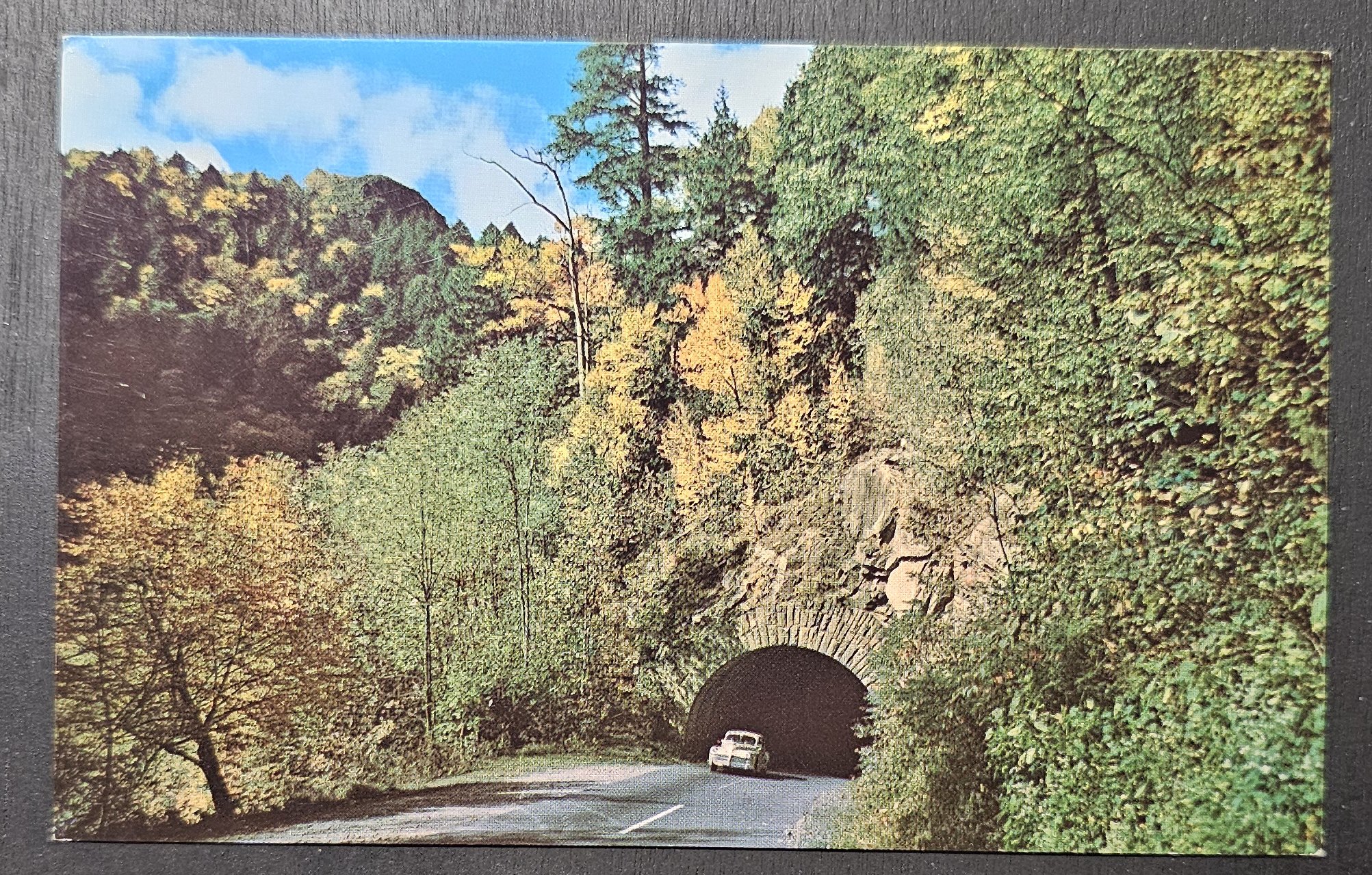 (image for) postcard USA - TN - Tennessee #0017